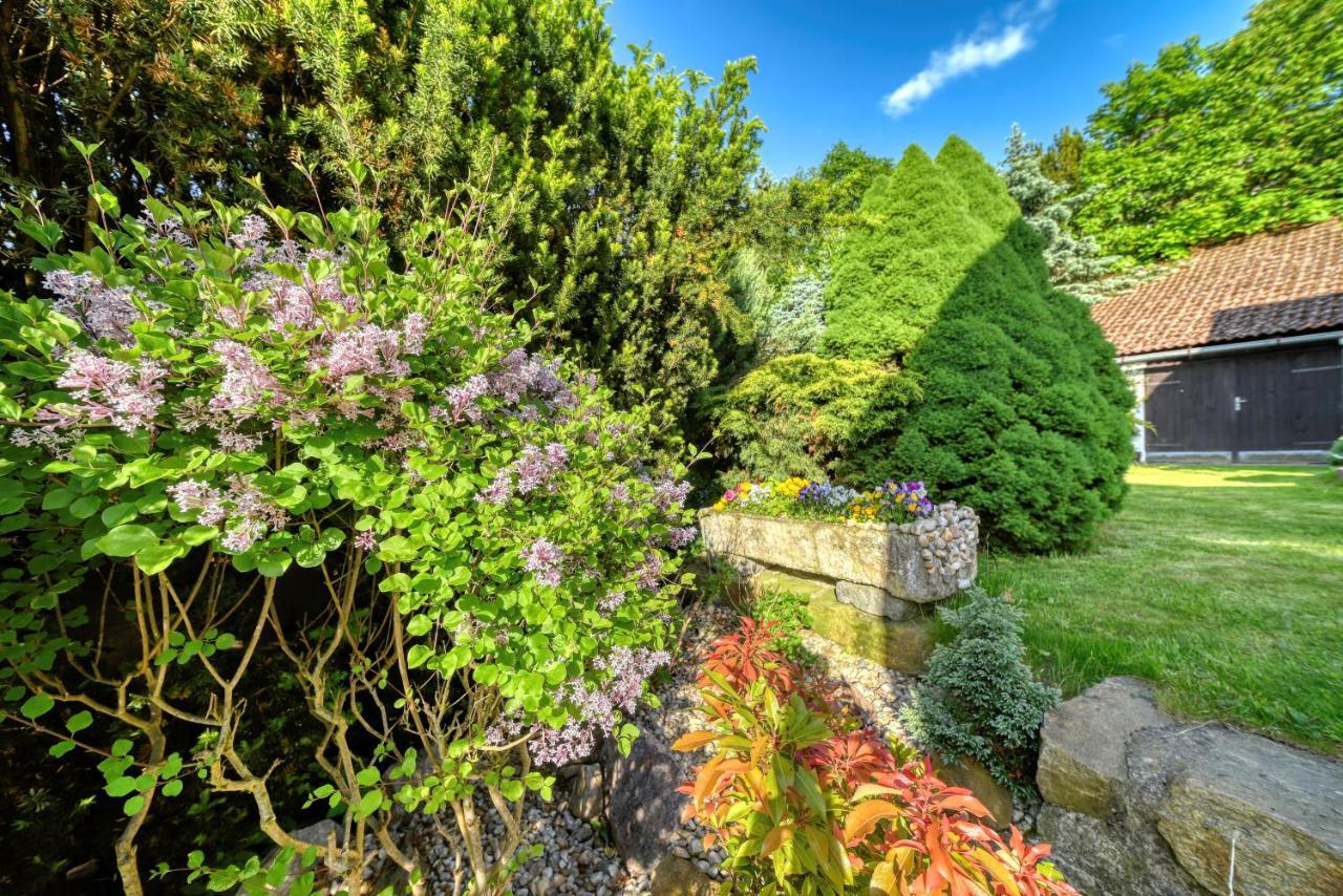 Chaloupka U Potoka Villa Kutná Hora Exteriör bild